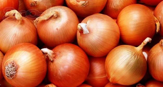 Продам лук репчатый оптом.